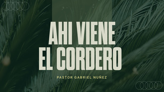 Portada de MDZ Church