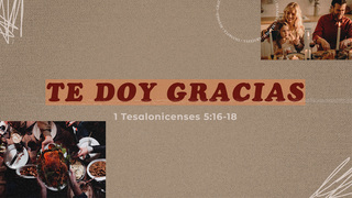 Portada de MDZ Church