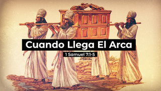 Portada de MDZ Church