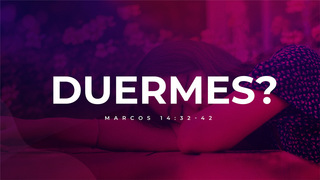 Portada de MDZ Church