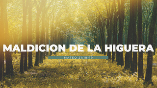 Portada de MDZ Church