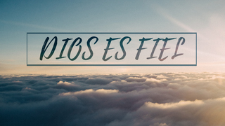 Portada de MDZ Church