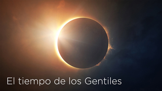 Portada de MDZ Church
