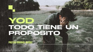 Portada de MDZ Church