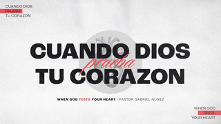 Portada de MDZ Church