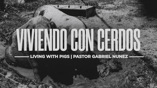 MDZ Church (Sermons)