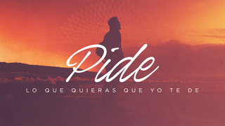 Portada de MDZ Church