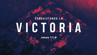 Portada de MDZ Church