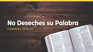 Portada de MDZ Church