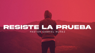 Portada de MDZ Church