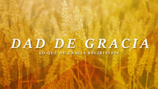 Portada de MDZ Church