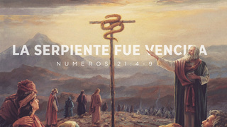 Portada de MDZ Church