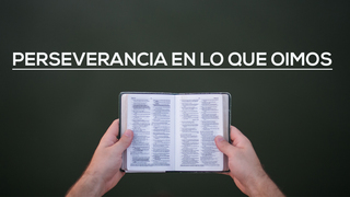 Portada de MDZ Church