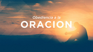 Portada de MDZ Church