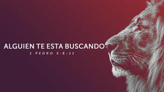 Portada de MDZ Church