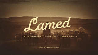 Portada de MDZ Church