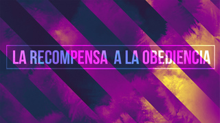 Portada de MDZ Church