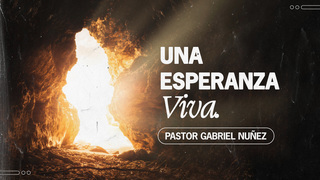 Portada de MDZ Church