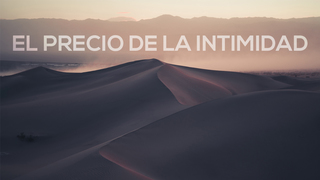 Portada de MDZ Church
