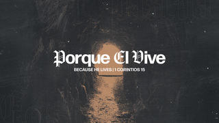 Portada de MDZ Church