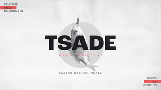 Portada de MDZ Church