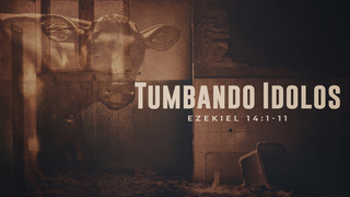 Portada de MDZ Church