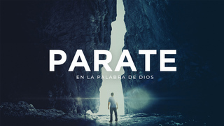 Portada de MDZ Church