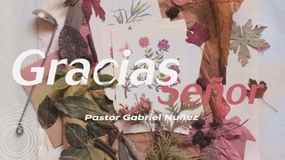 Portada de MDZ Church