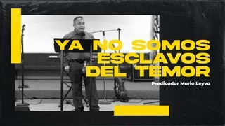 Portada de MDZ Church