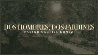 Portada de MDZ Church