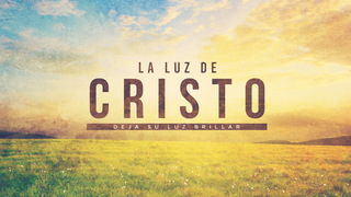 Portada de MDZ Church