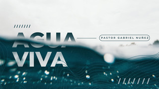 Portada de MDZ Church