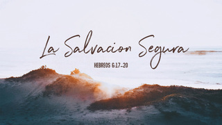 Portada de MDZ Church