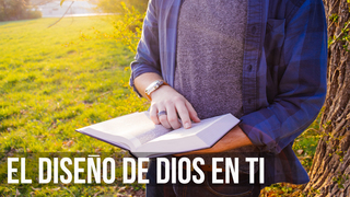 Portada de MDZ Church