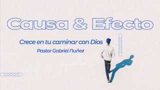 Portada de MDZ Church