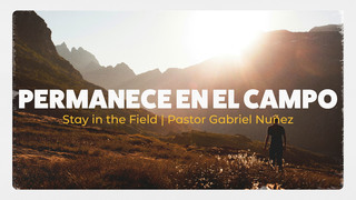 Portada de MDZ Church