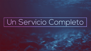 Portada de MDZ Church