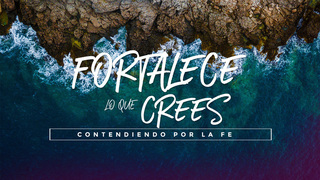 Portada de MDZ Church