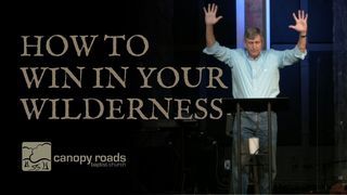 How to Win in your Wilderness episode artwork