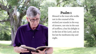 Day 1- Psalm 1 episode artwork