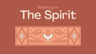 Holy Spirit's Role in Prayer | Mike Carnevale