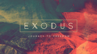 Created to Worship