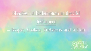 People, Snakes, Problems, and a Plan | Mark Miller