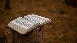 Into the Word, Into Christ