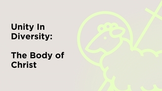 Unity In Diversity