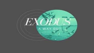 Exodus 9: Obedience