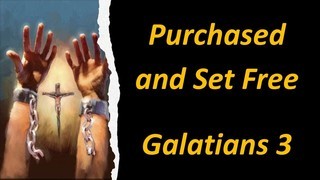 Purchased and Set Free