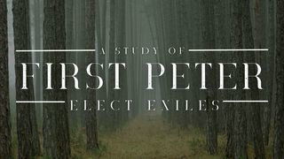 Commands for Elect Exiles, Part 3