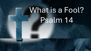 What Is a Fool? (audio)