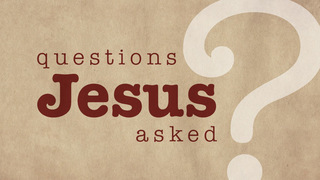 Questions Jesus Asked: Who Do YOU Say I am? episode artwork
